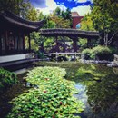 Lan su Yuan Chinese Garden and Teahouse photo by Deric Davis