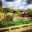 Lan su Yuan Chinese Garden and Teahouse photo by Deric Davis